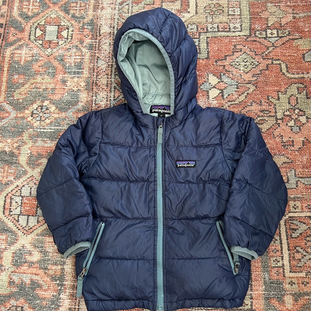 Patagonia Hi-Loft Down Hoody
